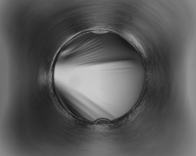 X0000093120900200710101038