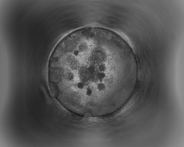 X0000093120903200710101038