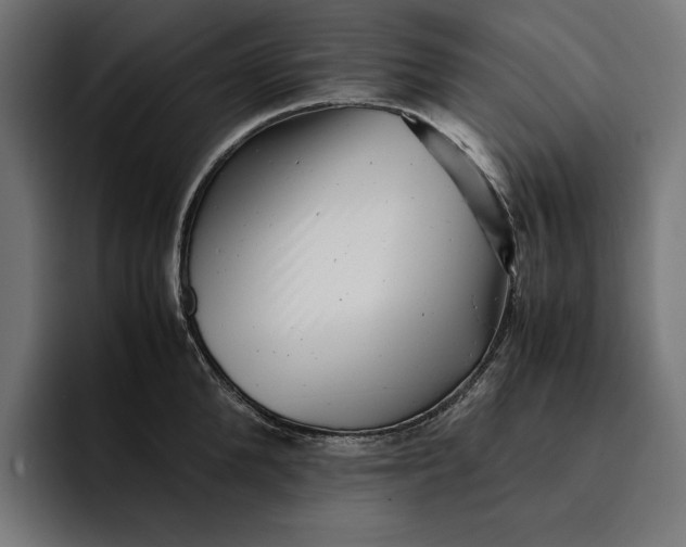 X0000093120904200710101038