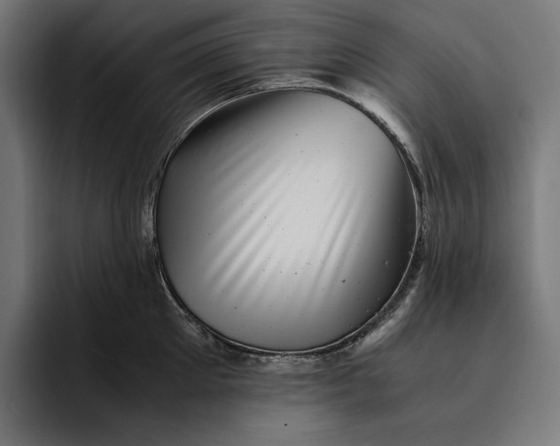 X0000093120905200710101038