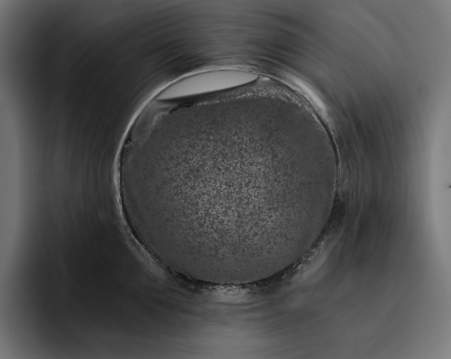 X0000093120907200710101038