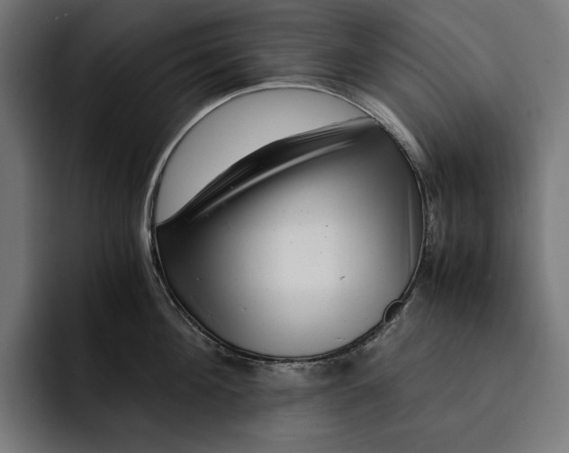 X0000093120908200710101038