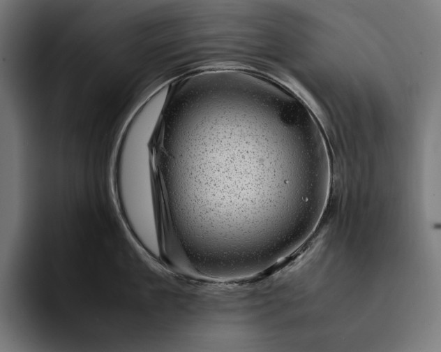 X0000093120909200710101038