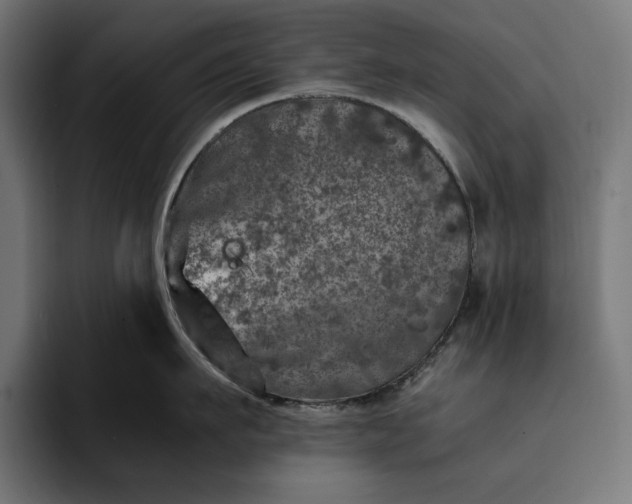 X0000093120911200710101038