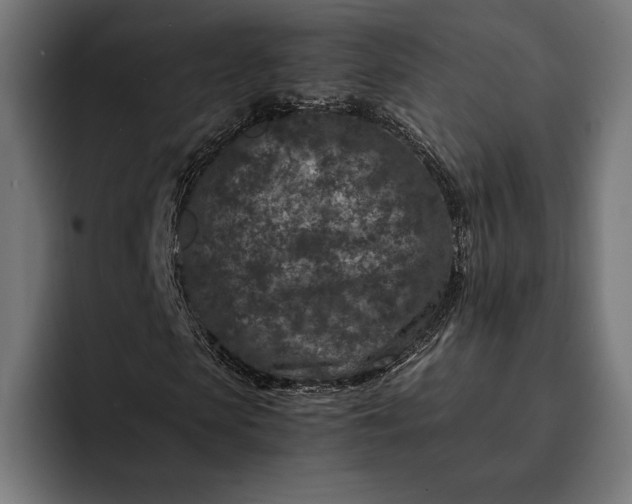 X0000093120913200710101037