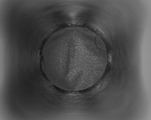 X0000093120915200710101037