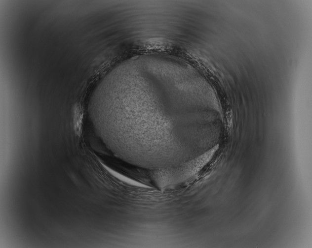 X0000093120916200710101037