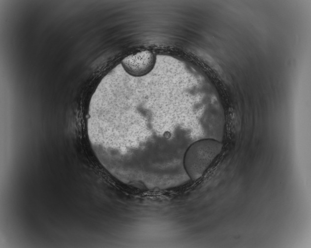 X0000093120918200710101037