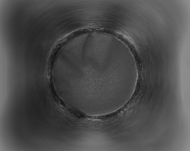 X0000093120920200710101037