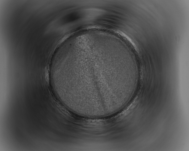 X0000093120921200710101037