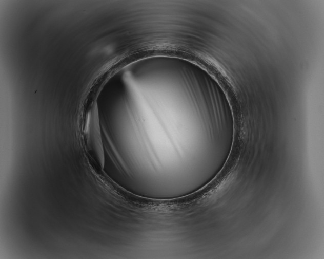 X0000093120922200710101037