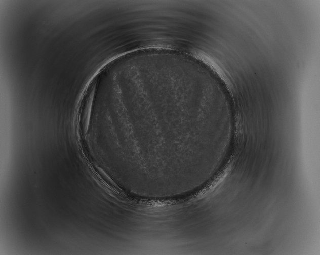 X0000093120923200710101037