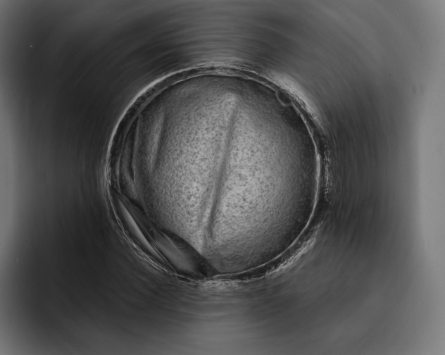 X0000093120924200710101037