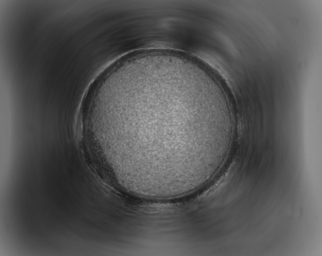 X0000093120925200710101037