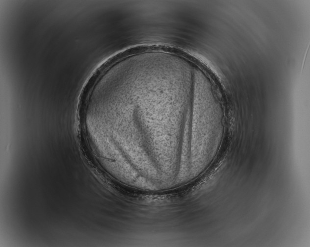 X0000093120927200710101037