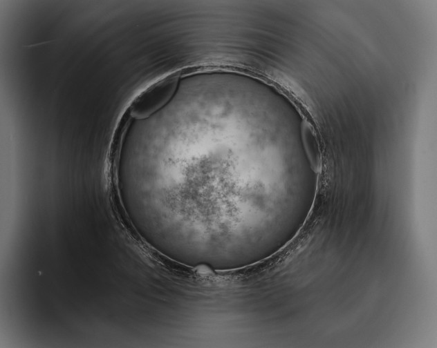 X0000093120928200710101037