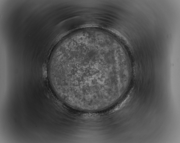 X0000093120929200710101037