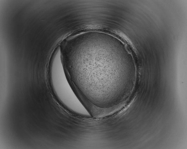 X0000093120930200710101037