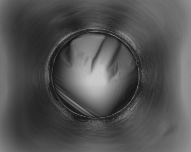 X0000093120931200710101037