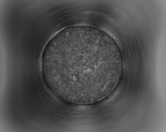 X0000093120933200710101037