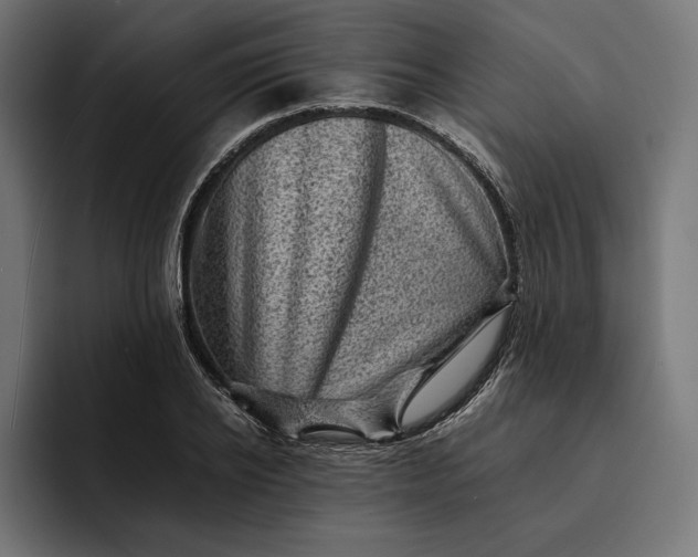 X0000093120934200710101037