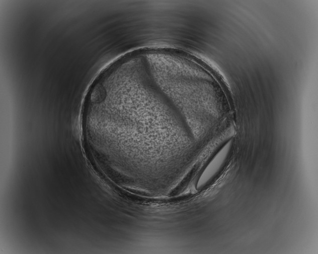 X0000093120935200710101037