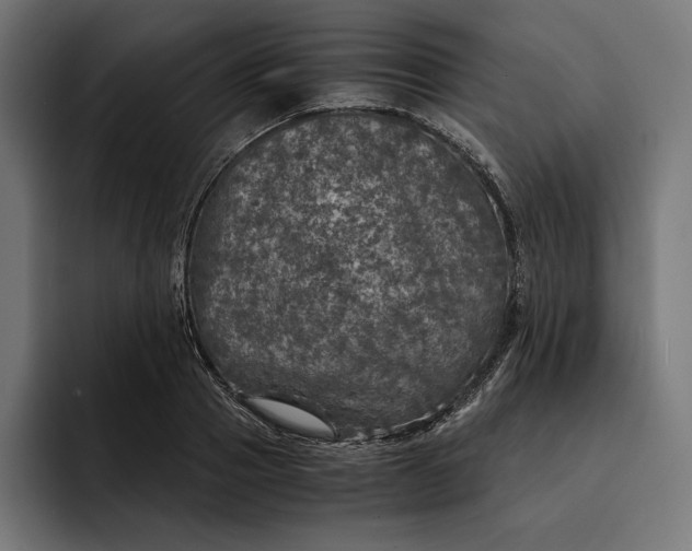 X0000093120937200710101037