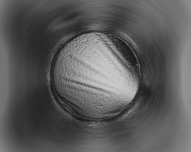 X0000093120938200710101037