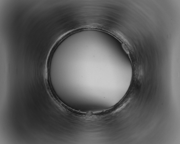 X0000093120940200710101037