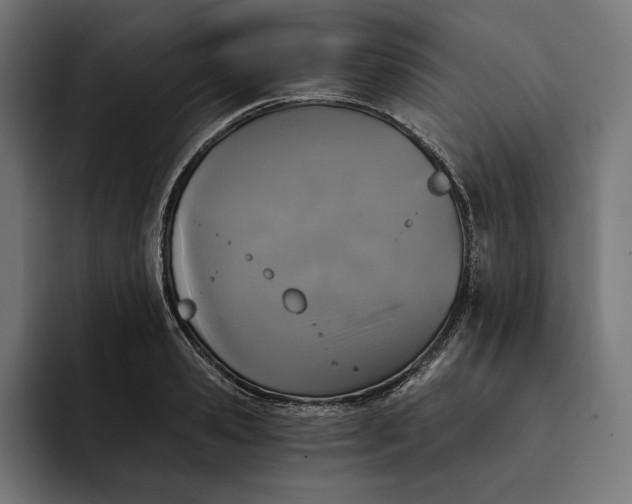 X0000093120941200710101037