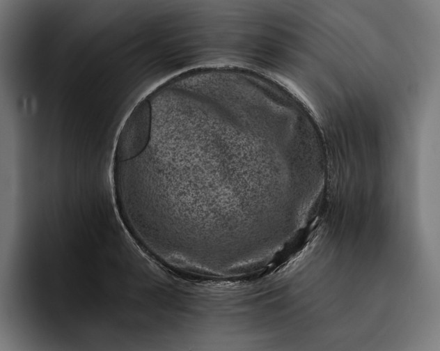 X0000093120943200710101037