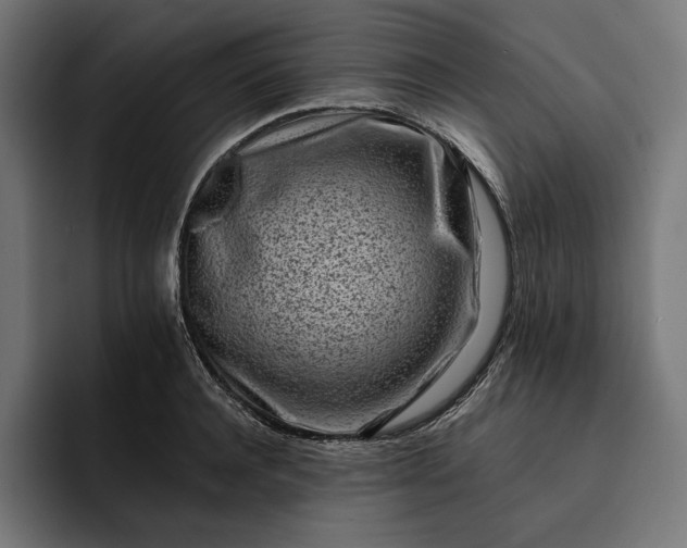 X0000093120944200710101038