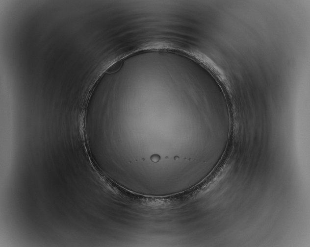 X0000093120945200710101038