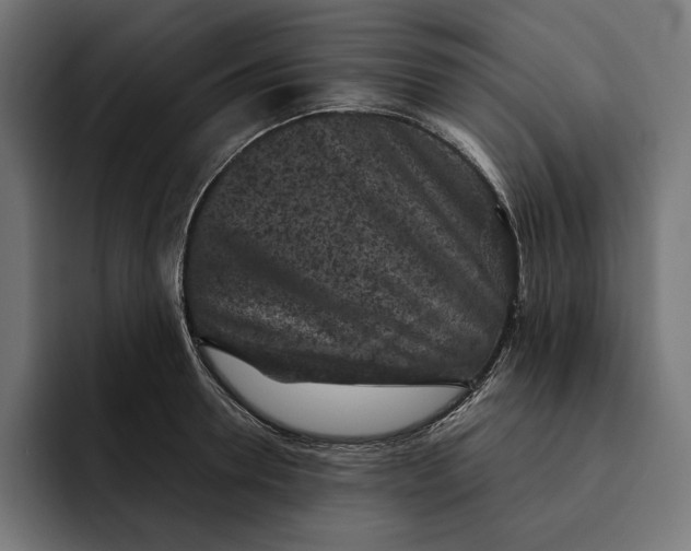 X0000093120946200710101038