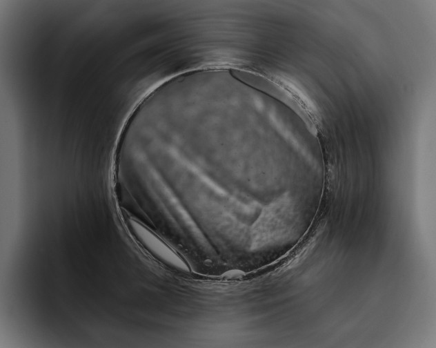 X0000093120948200710101038