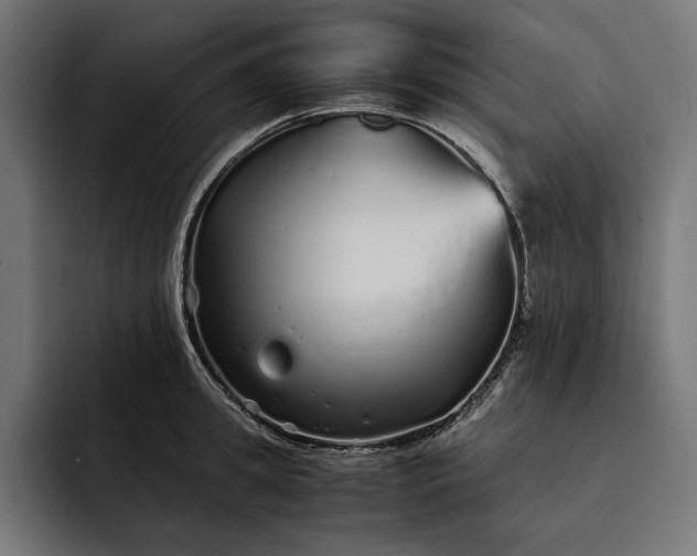 X0000093120949200710101038