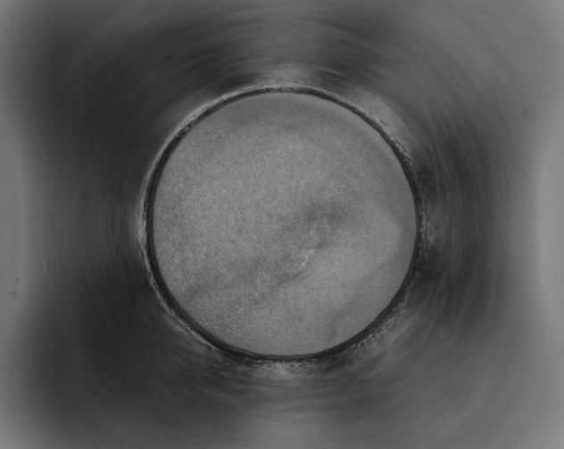 X0000093120950200710101038