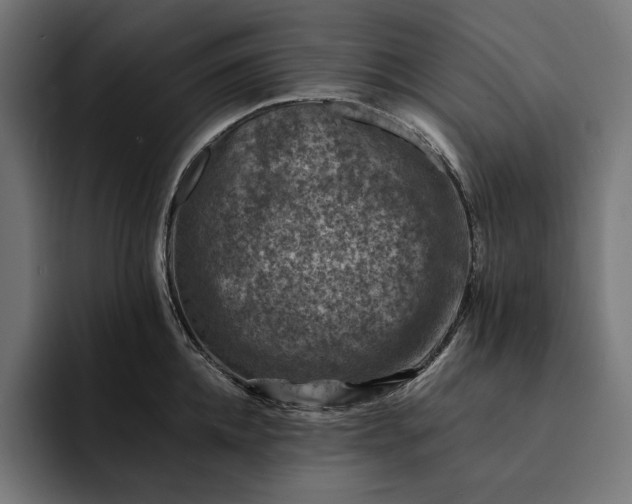 X0000093120952200710101038