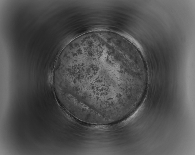 X0000093120953200710101038