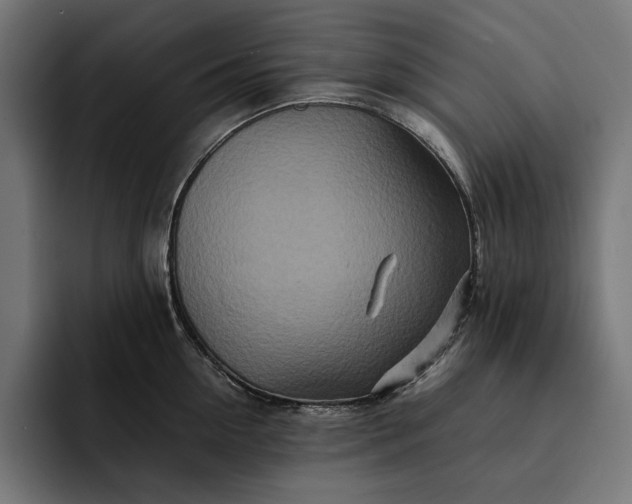 X0000093120954200710101038