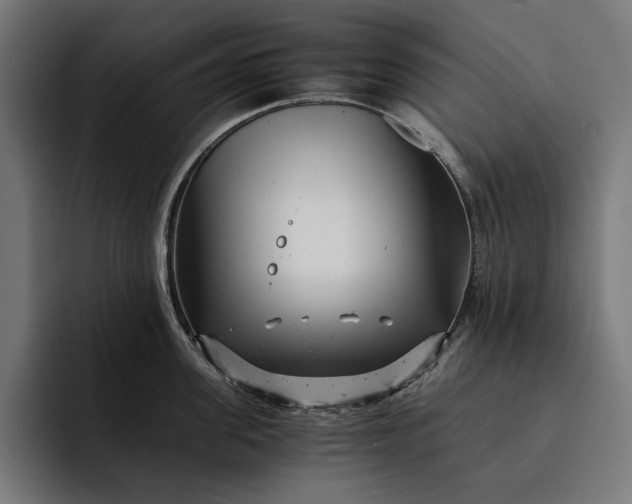 X0000093120955200710101038