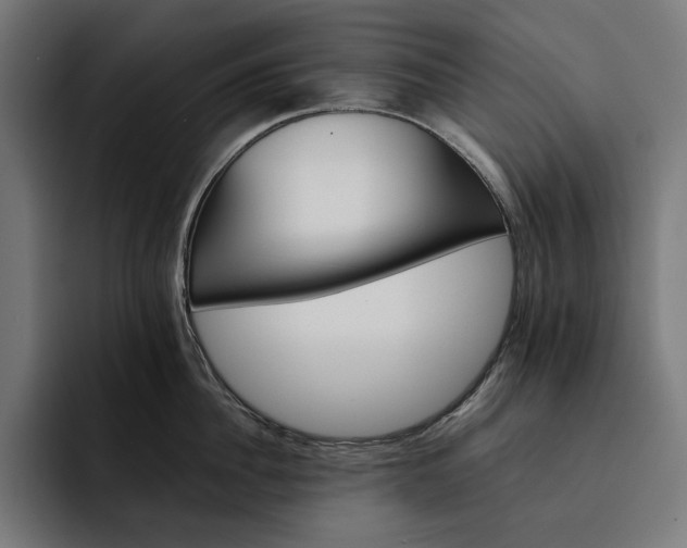 X0000093120956200710101038