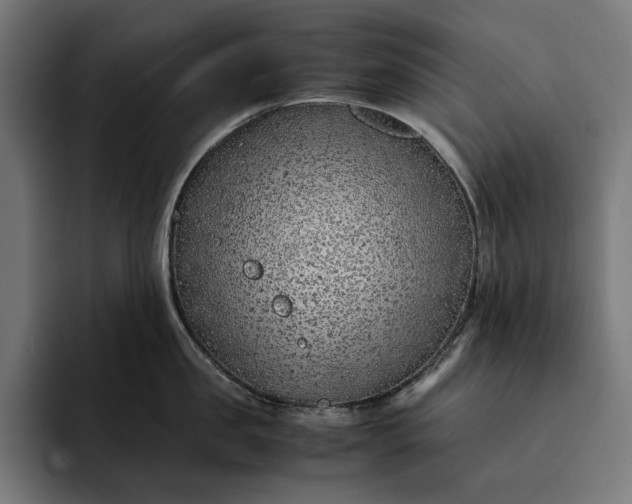 X0000093120957200710101038