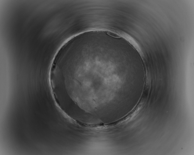 X0000093120958200710101038