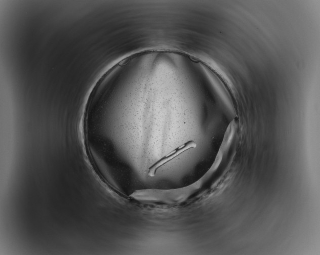 X0000093120959200710101038