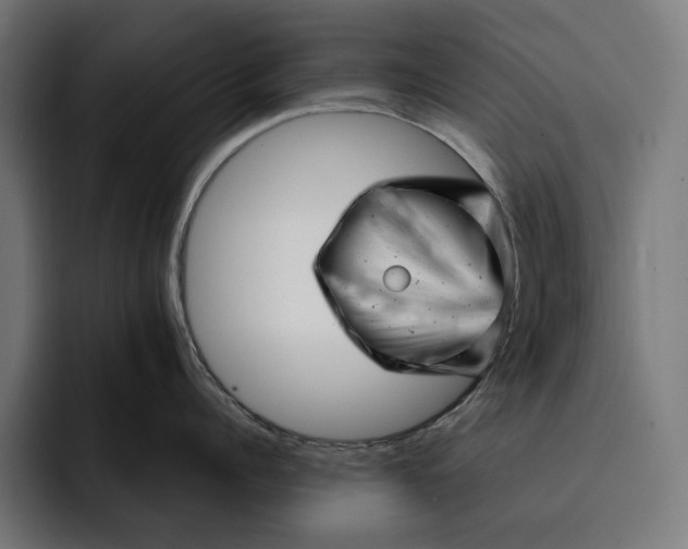 X0000093120960200710101038