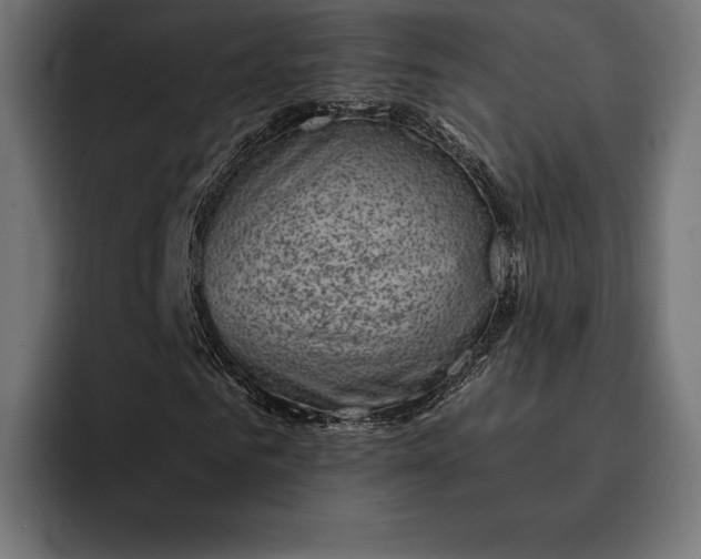 X0000093120961200710101037