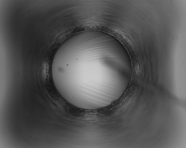 X0000093120964200710101037