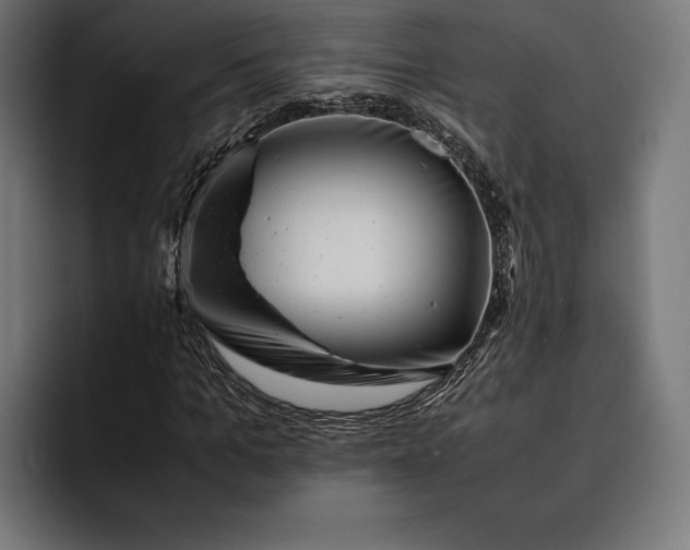 X0000093120965200710101037