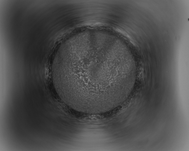 X0000093120966200710101037